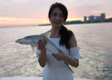 Shark
