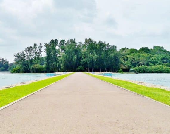 Day Out: Sunshine After The Rain