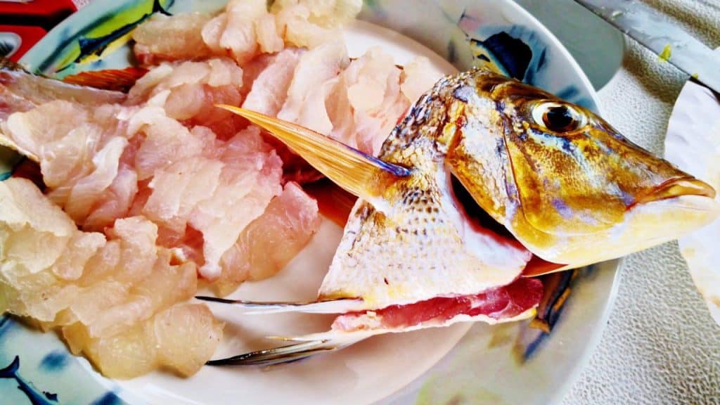 Fish caught on yacht - Sashimi