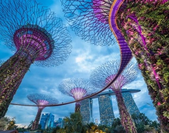 Gardens By The Bay Singapore