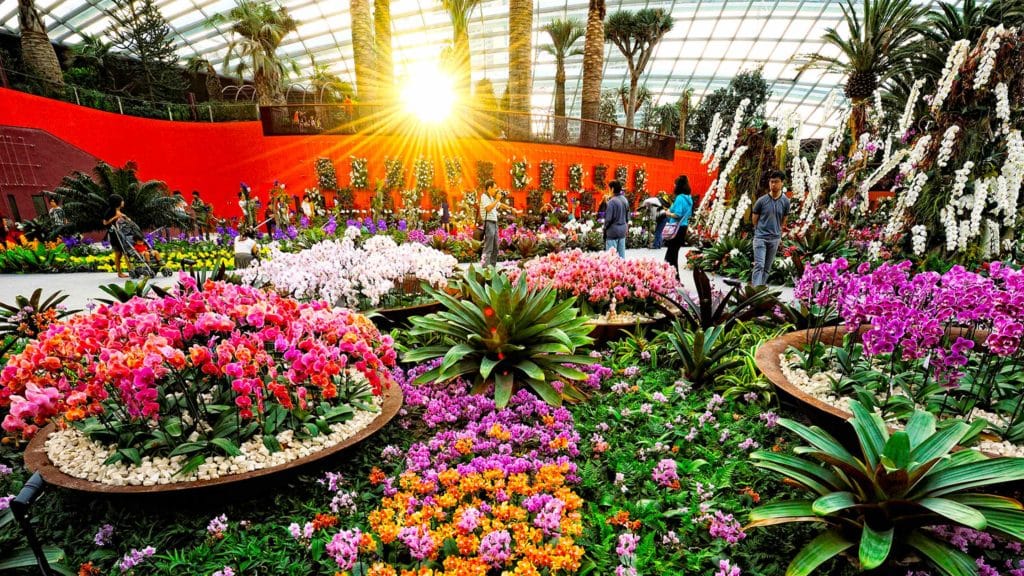Singapore Business Traveler Flower Dome Gardens By The Bay