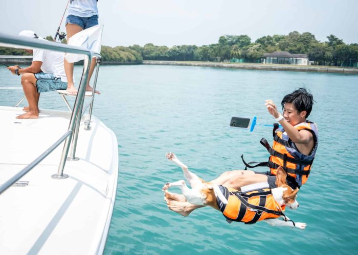 PETS X Clubpets Yacht