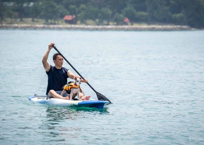 PETS X Clubpets Yacht