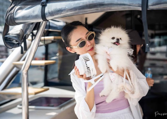 PETS X Clubpets Yacht