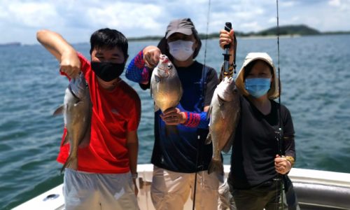Triple Fishing Hook-up