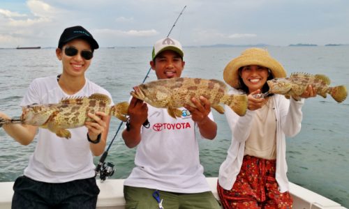 fishing triple grouper