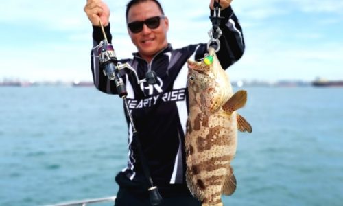 big grouper
