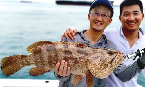 Boat Fishing - Grouper