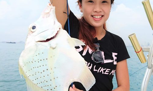 Boat Fishing - Sweet Lip