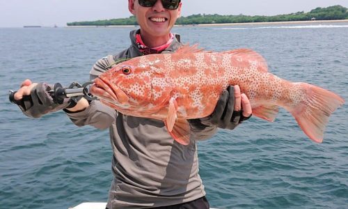 Coral Trout Scaled