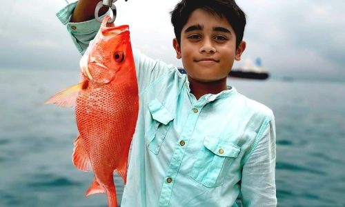 Fish Caught During Fishing Trip - Red Snapper