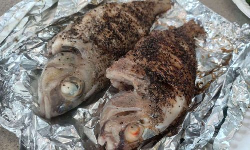 Fishing & BBQ on Yacht Charter - BBQ Fish