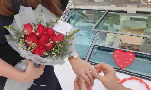 Proposal on Cruise Yacht - Proposal Ring