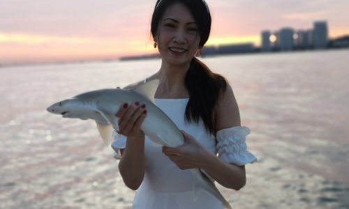 Fish Caught During Fishing Trip - Shark