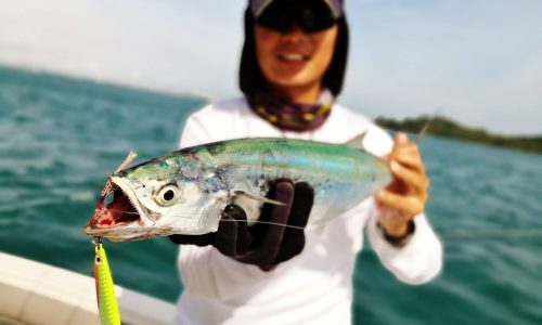 Why we’re famous for Fishing Yacht Charters