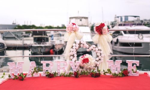 Wedding Proposal on Catamaran